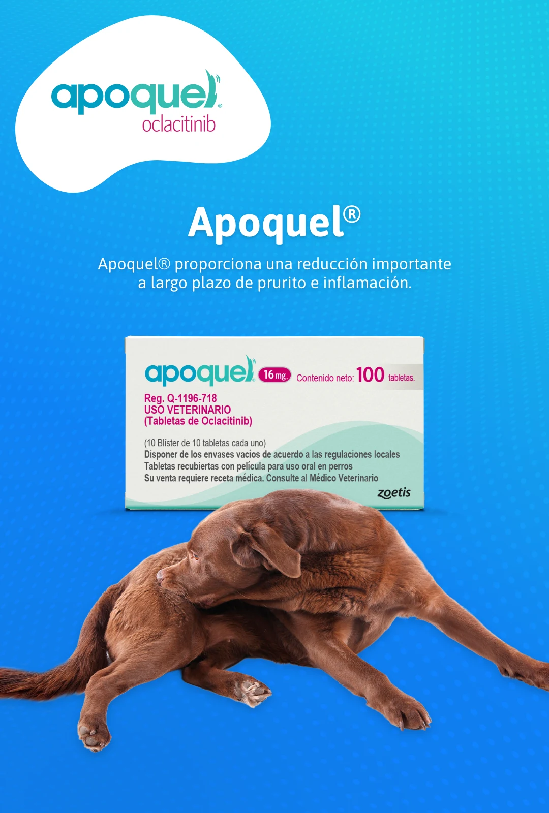 Apoquel
