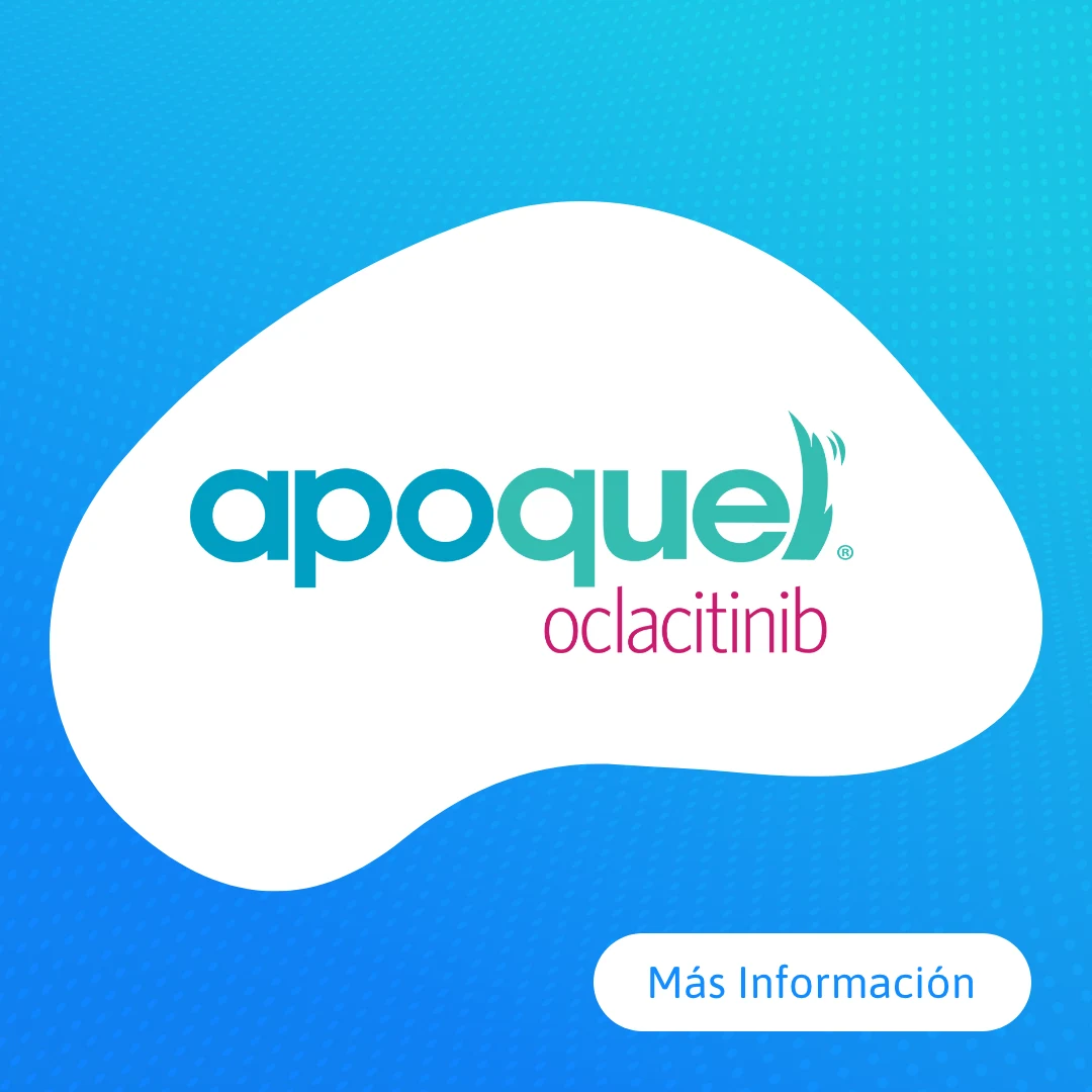 Apoquel