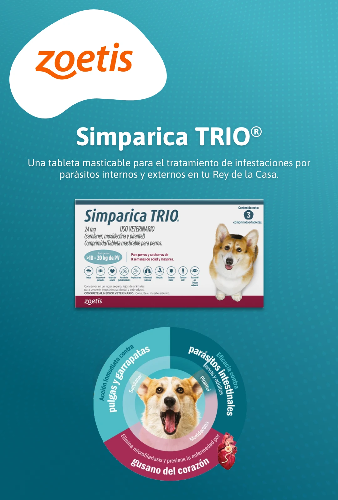 Simparica TRIO