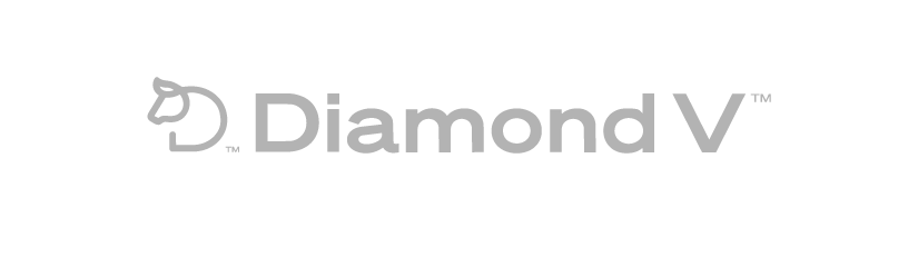 diamondv_gris_1
