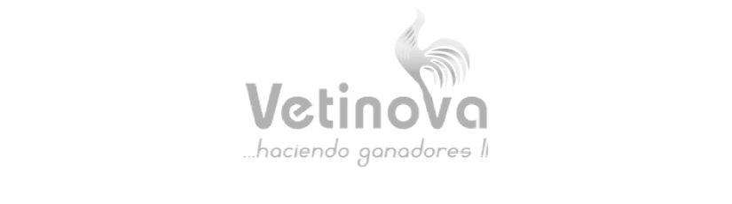 vetinova_gris2